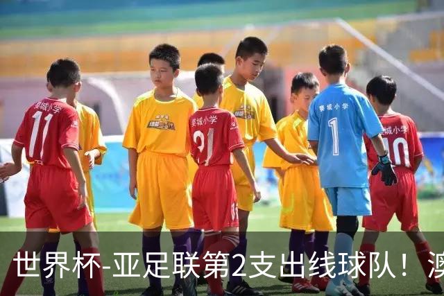 世界杯-亚足联第2支出线球队！澳大利亚0-0巴拉圭获小组第2
